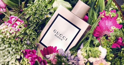 gucci bloom free sample uk